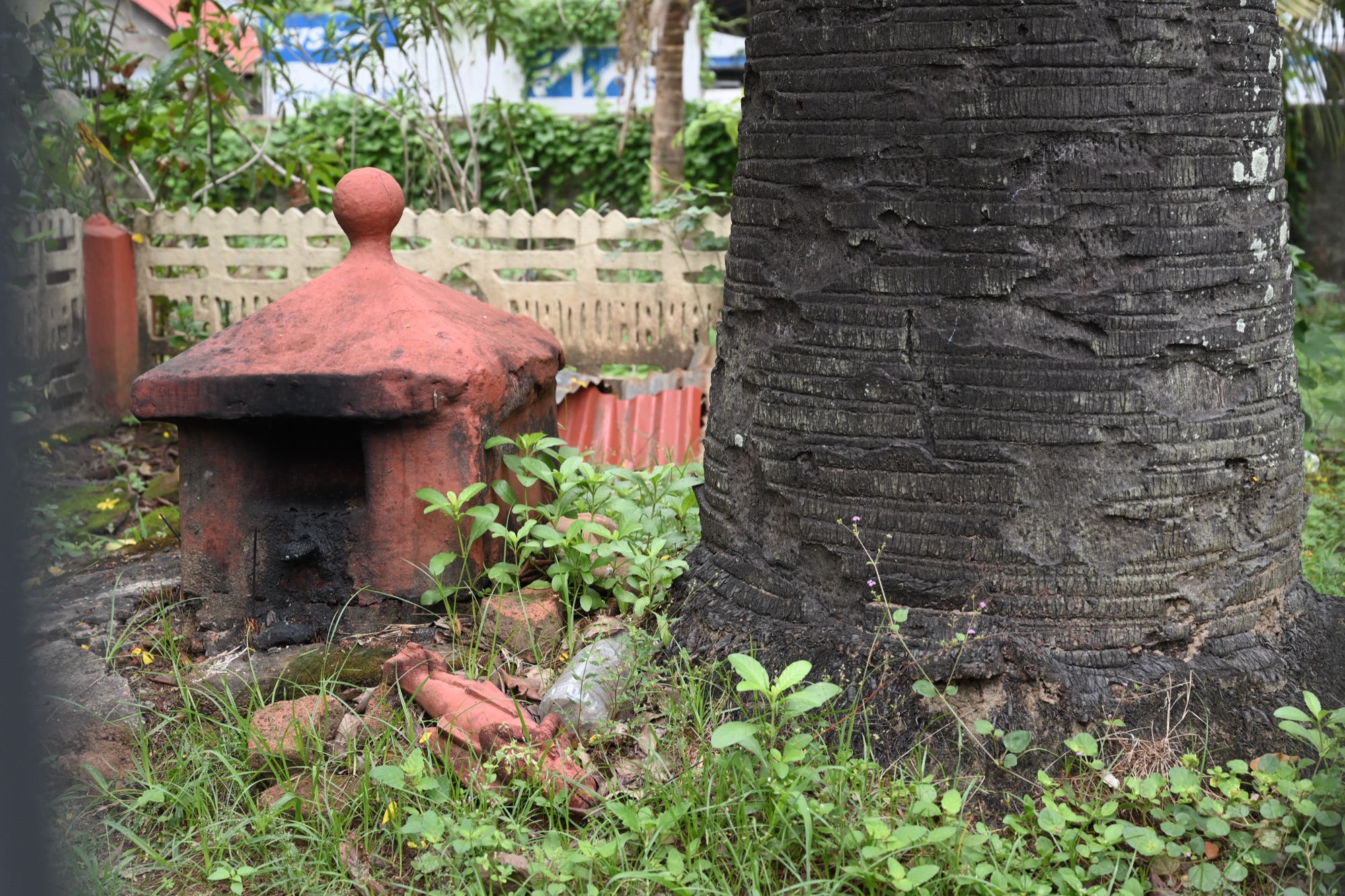 ഒറ്റ പനമൂട്